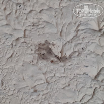 фото из отзыва ID 1887678