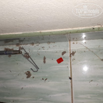 фото из отзыва ID 1887678