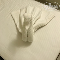 фото из отзыва ID 1887921