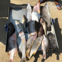 фото из отзыва ID 1887921