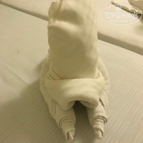 фото из отзыва ID 1887921