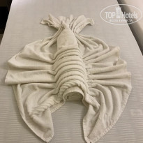 фото из отзыва ID 1887921