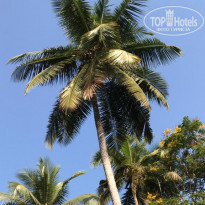 фото из отзыва ID 1887921