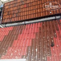 фото из отзыва ID 1887887