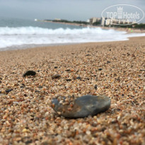 фото из отзыва ID 1888036