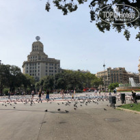 фото из отзыва ID 1888036