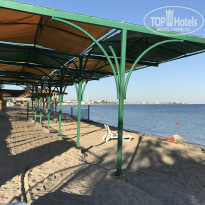 фото из отзыва ID 1888127