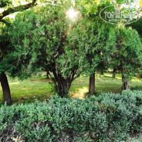 фото из отзыва ID 1888127