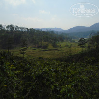 фото из отзыва ID 1888225