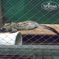 фото из отзыва ID 1888225