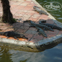 фото из отзыва ID 1888225