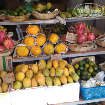 фото из отзыва ID 1888225