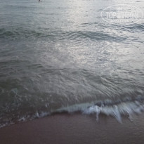 фото из отзыва ID 1888316