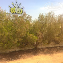 фото из отзыва ID 1888373