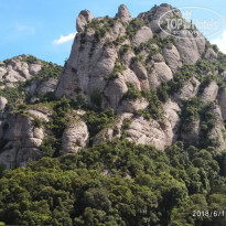 фото из отзыва ID 1888485