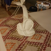 фото из отзыва ID 1885825