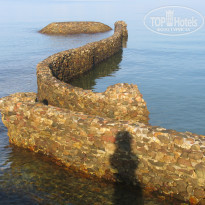 фото из отзыва ID 1888554