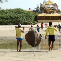 фото из отзыва ID 1888578