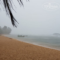 фото из отзыва ID 1888737