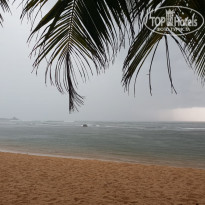 фото из отзыва ID 1888737