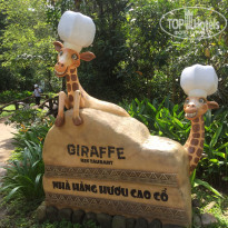 фото из отзыва ID 1888873