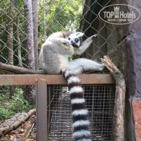 фото из отзыва ID 1888873