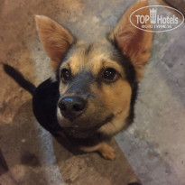 фото из отзыва ID 1888873