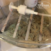 фото из отзыва ID 1888882