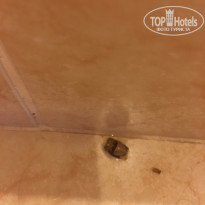 фото из отзыва ID 1888882