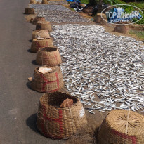 фото из отзыва ID 1888892