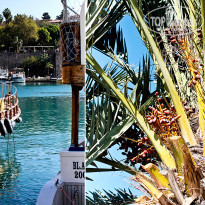 фото из отзыва ID 1889049