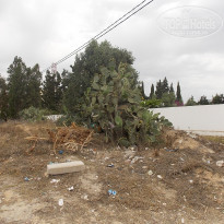 фото из отзыва ID 1889060