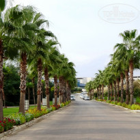 фото из отзыва ID 1889102