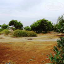 фото из отзыва ID 1889102