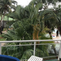 фото из отзыва ID 1889135