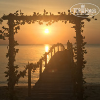 фото из отзыва ID 1889169