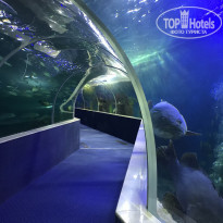 фото из отзыва ID 1889169