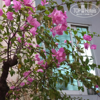 фото из отзыва ID 1889181