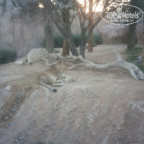 фото из отзыва ID 1889194