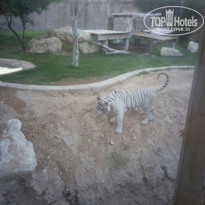 фото из отзыва ID 1889194