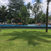 фото из отзыва ID 1889213