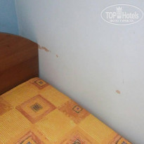 фото из отзыва ID 1889300