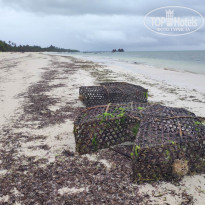 фото из отзыва ID 1889375