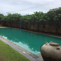 фото из отзыва ID 1889631