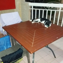 фото из отзыва ID 1889783