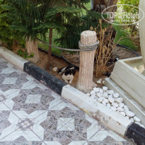 фото из отзыва ID 1889783