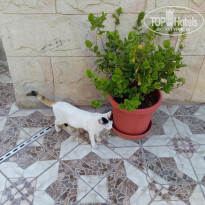 фото из отзыва ID 1889783