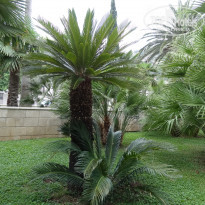 фото из отзыва ID 1889796