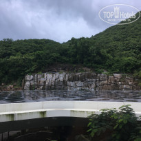 фото из отзыва ID 1889814