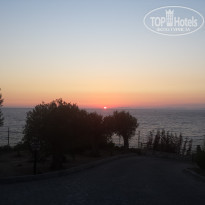 фото из отзыва ID 1889870